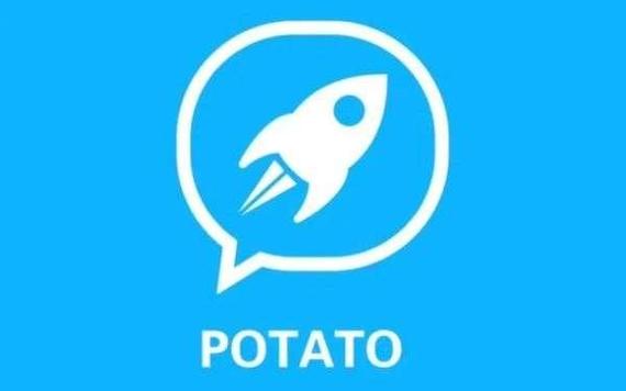 potato